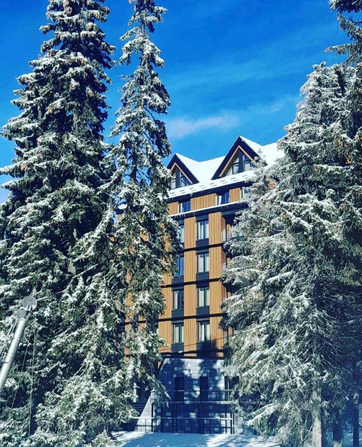Woodside Apartman Kopaonik 315 Exteriér fotografie